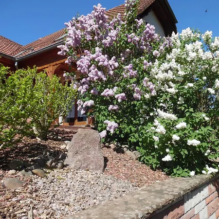 Le Charme De L'altenberg * Neubois