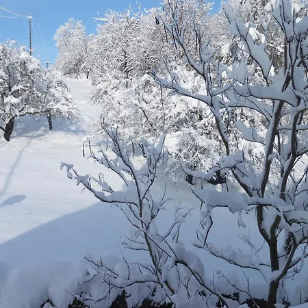 Le Charme De L'altenberg *