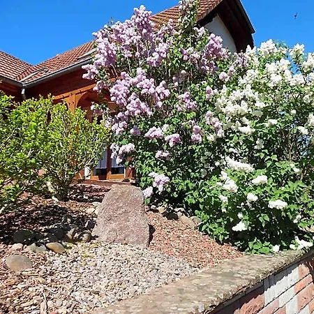 Le Charme De L'altenberg Holiday home Neubois