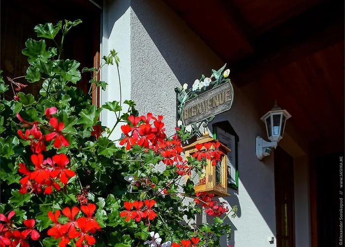 Hébergement de vacances Le Charme De L'altenberg Neubois