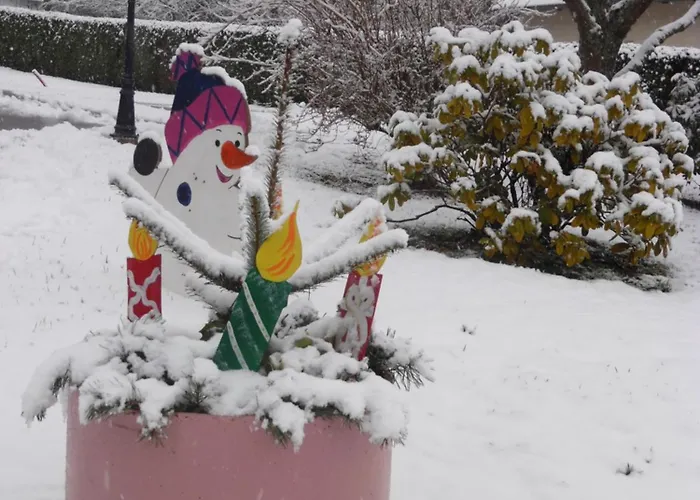 Hébergement de vacances Le Charme De L'altenberg