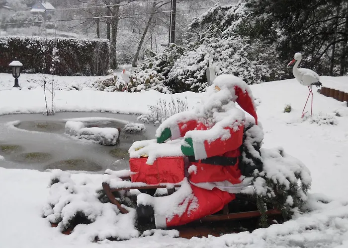 Le Charme De L'altenberg Hébergement de vacances Neubois