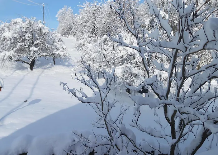 Le Charme De L'altenberg *